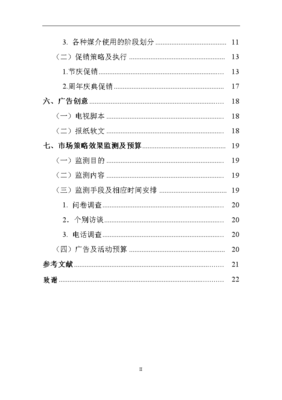 创维彩电广西市场年度营销策划方案